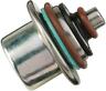 1009-0040 10090040 Moose Utility Fuel Pump