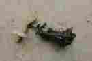 0570-358 11777 Arctic Cat Wildcat 1000 12 Fuel Pump