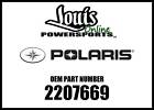 2207669 Polaris Fuel Pump Service 725984883417