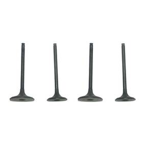 017-028-2z8 Componentsplus New Engine Valve Kit For Honda Trx-r 450cc By Parts 017-028
