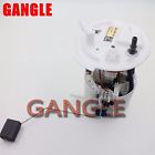 Db53-9h307-bg Gangle Fuel Pump For 0747880022622