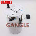 Dg93-9h307-de Gangle Fuel Pump For 0747880022639