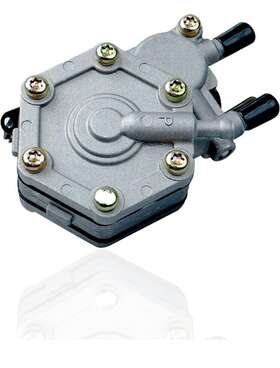 Ts20220042 Gzztores Polaris Fuel Pump Compatible With Sportsman 325 400 500 600 700 Magnum