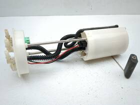Efm1090119p Massimo 18-23 Buck 450 Petrol Gas Fuel Pump Assembly 47605