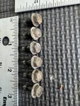02-03 Kawasaki Prairie 650 Fuel Pump Bolts 92151-1754. Fixed Price $15.00.