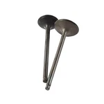 Oem Grade Valve Kit Engine 01-08 Honda Trx 250EX Sportrax 229CC Intake Exhaust. Fixed Price $100.31.