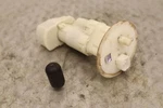 2013 Kawasaki Brute Force KVF750H 4X4I Eps Oem Fuel Pump Gas Petrol Sender. Fixed Price $53.51.