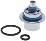 Quantum Replacement Efi Fuel Pressure Regulator For Arctic Cat Zr HFP-PR19. Fixed Price $78.95.