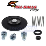 Balls Accelerator Pump Rebuild Kit For 2006-2014 Honda TRX450ER. Fixed Price $28.14.