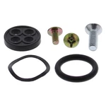 Balls Racing Fuel Tap Repair Kit 60-1081. Fixed Price $20.17.