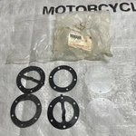 1985-2007 Yamaha YTZ250 Tri-z G2 G8 Golf Cart Fuel Pump Seal Set 38W-W1391-01-00. Fixed Price $80.00.