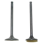 Oem Grade Engine Valve Kit 1985-1993 Suzuki LT230 LT-F230 LT-Z250 Ozark. Fixed Price $102.12.